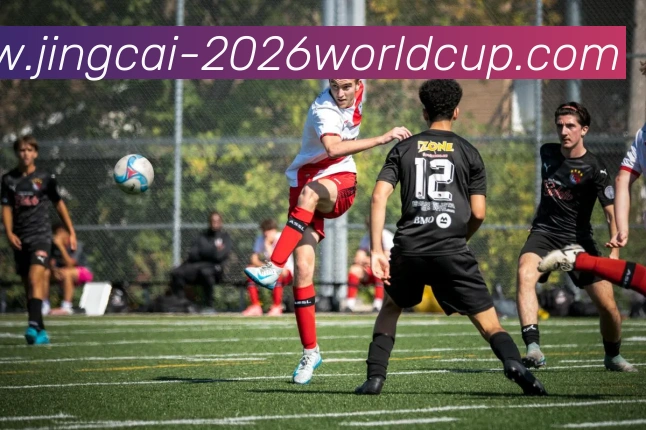 世界杯竞彩品牌故事